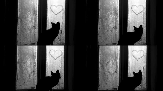 小猫望着雾气蒙蒙的古农家窗户，站在窗台上，好奇的心手绘题字。寒冷的早晨浪漫惬意的景色。黑白照片。