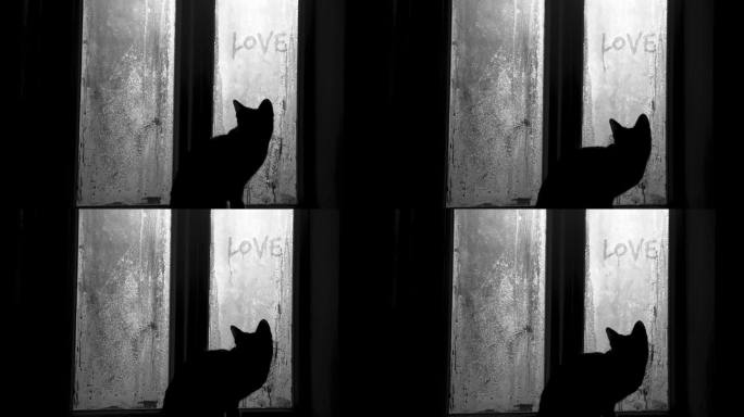小猫望着雾气蒙蒙的古农家窗户，站在窗台上，好奇着爱情的手写题词。寒冷的早晨浪漫惬意的景色。黑白照片。