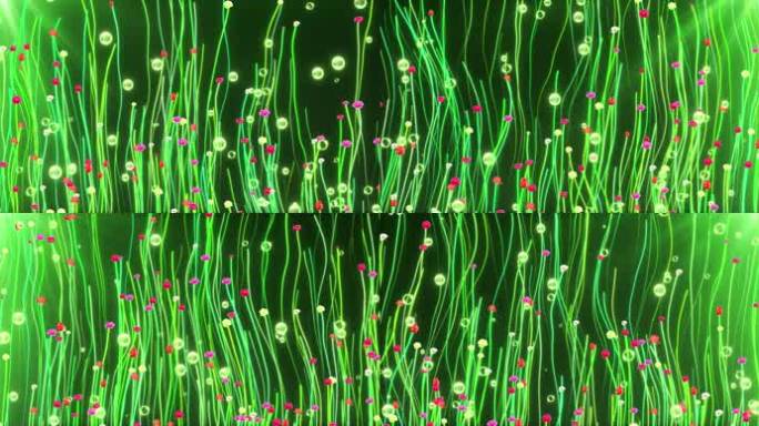 8K宽屏唯美全息花海梦幻鲜花粒子素材