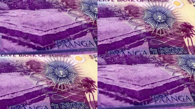 汤加汤安岛五张钞票，五张汤安岛钞票，汤安岛五张钞票，汤安岛五张钞票的特写和宏观视图，跟踪和多利拍摄5