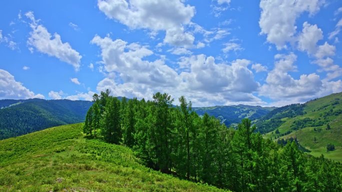 新疆蓝天下的青山绿林自然景观