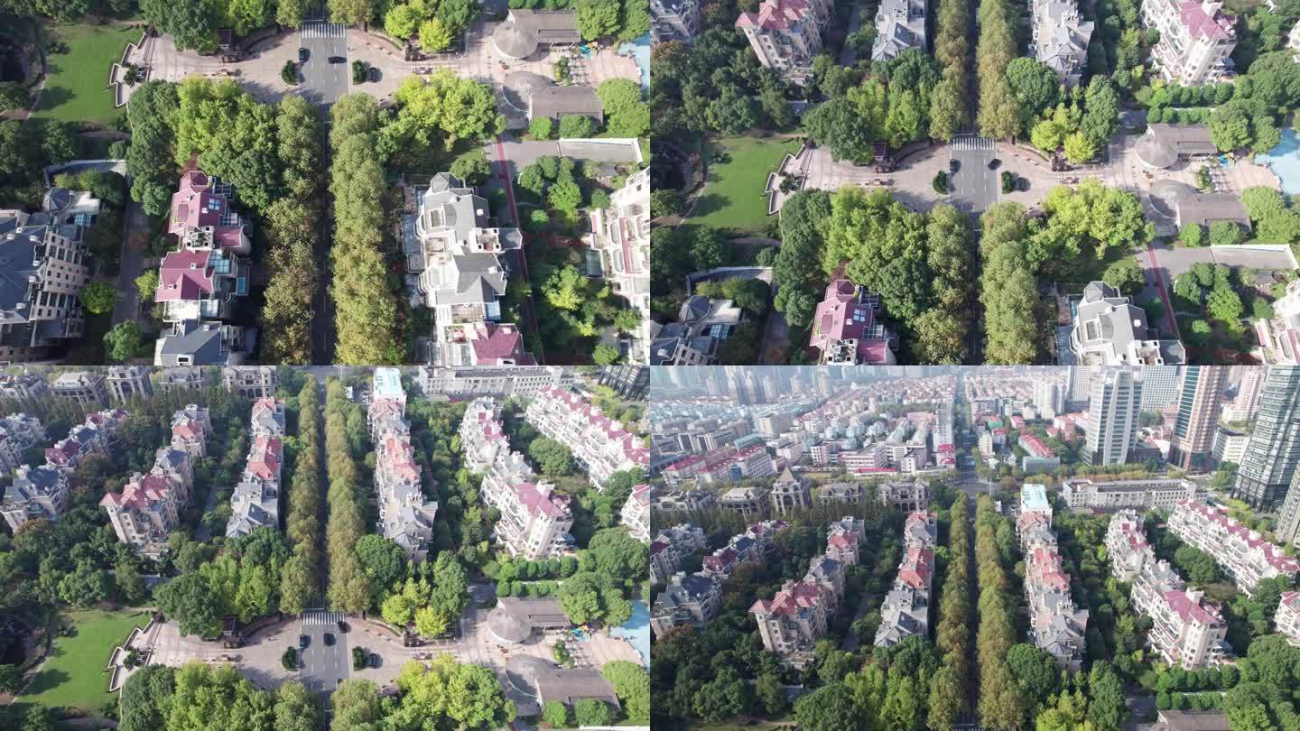 中国上海浦东陆家嘴社区住宅的无人机航拍画面。绿树和别墅，上海最有价值的房子，4k实时镜头高视角。
