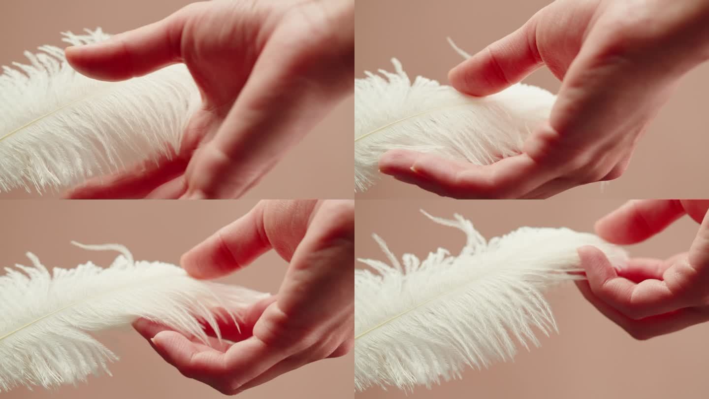 白色羽毛纹理，触摸软羽在米色背景特写。柔软和皮毛柔嫩的概念。
