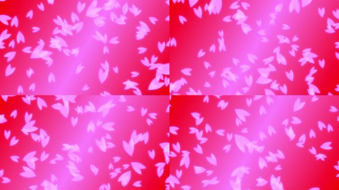 粉红色的樱桃花瓣从上到下落在红色和粉红色的渐变背景。抽象的背景，一个场景的春天在日本。