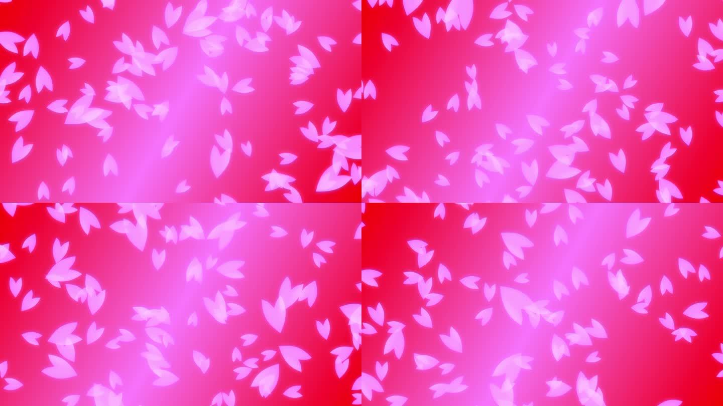 粉红色的樱桃花瓣从上到下落在红色和粉红色的渐变背景。抽象的背景，一个场景的春天在日本。