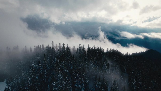 Rolling Fog Clouds in Mountain Trees Shot by Drone