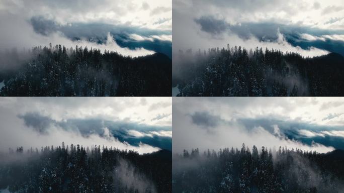 Rolling Fog Clouds in Mountain Trees Shot by Drone