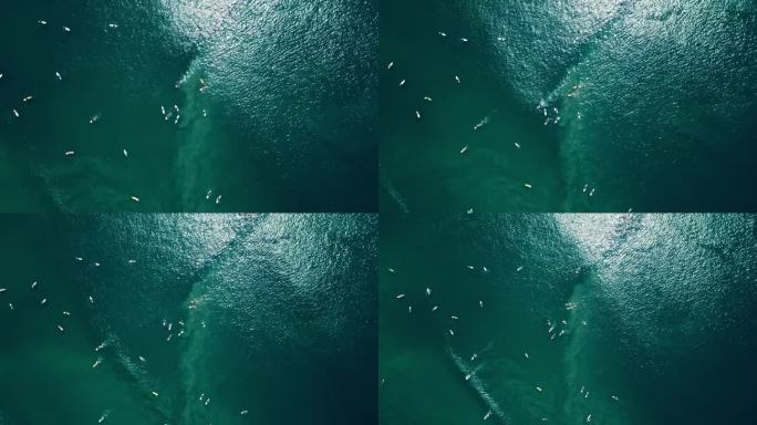 鸟瞰图捕捉冲浪者在受欢迎的海洋阵容等待波浪。动感十足的冲浪点展示了个人划桨，准备骑马。无人机镜头显示