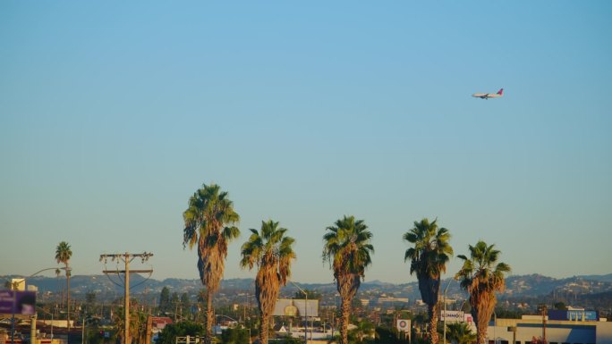 飞机在绿色的棕榈树上抵达机场，背景是清澈的蓝天。加州