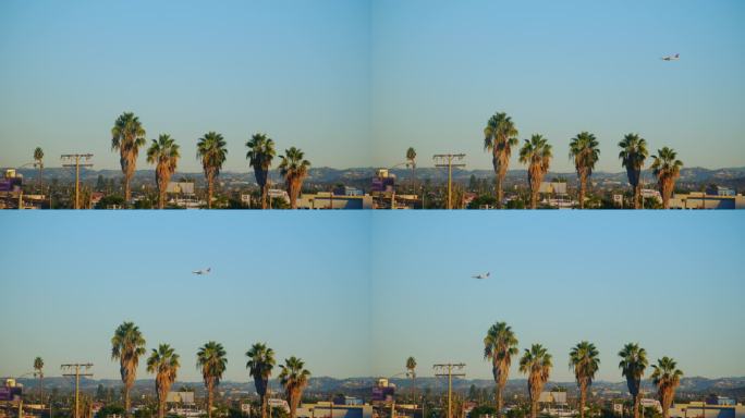 飞机在绿色的棕榈树上抵达机场，背景是清澈的蓝天。加州