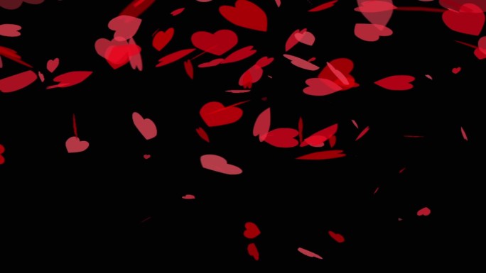 黑色背景下跳动的红心…3d红心纸屑落下。浪漫的周年纪念日