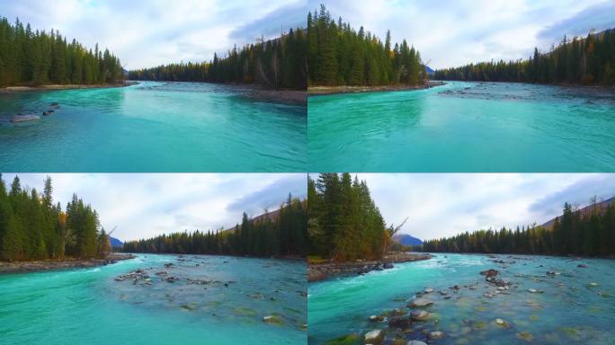 航拍新疆喀纳斯秋天森林河流湖泊自然风景