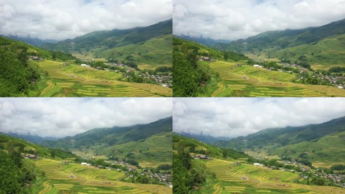 在绿色的热带山脉里，在亚洲，在越南，在东京，在萨帕，在老蔡，在夏天，在一个阴天，梯田里的绿色和金色的