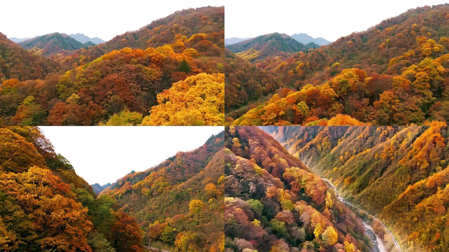 旅游光雾山风景