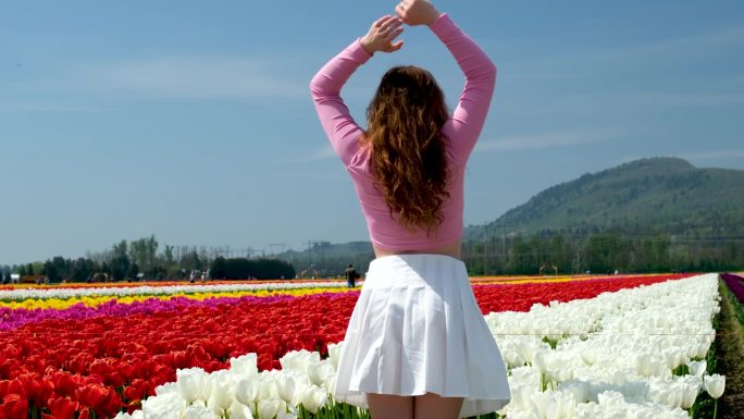 年轻女子穿着白色的裙子，粉红色的夹克，金色的长发，映衬着白色的郁金香，在郁金香的田野里有一条红色的条