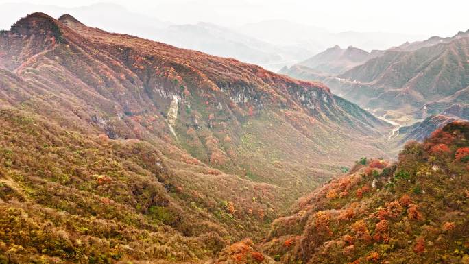 光雾山红叶