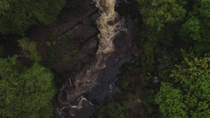 从高空鸟瞰无人机拍摄的秋天被树木环绕的强大的约克郡河。