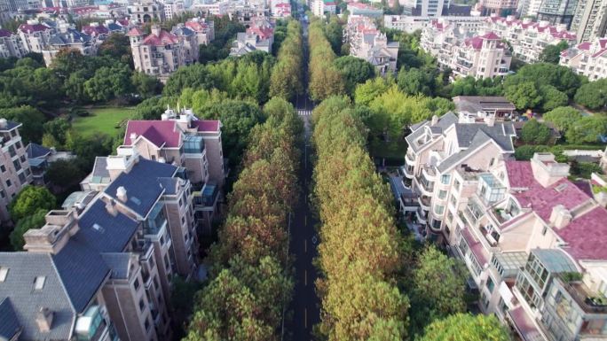 中国上海浦东陆家嘴社区住宅的无人机航拍画面。绿树和别墅，上海最有价值的房子，4k实时镜头高视角。