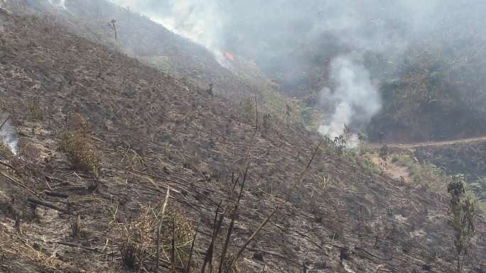 炼山山火森林火灾森林烟火森林防火防火带