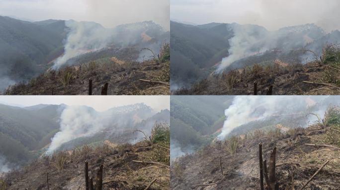 山火炼山森林火灾森林防火防火带森林火警