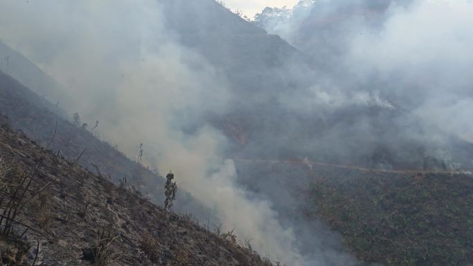 山火炼山森林火灾森林防火防火带森林火警