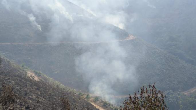 山火炼山森林火灾森林防火防火带森林火警