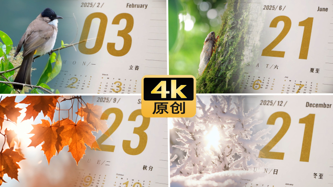 二十四节气（2025）