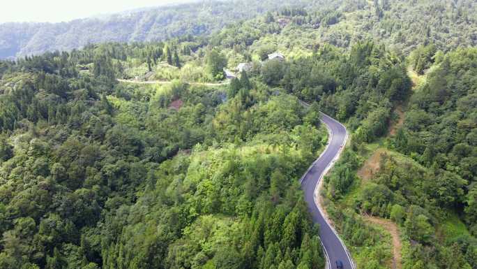 黄水森林公路