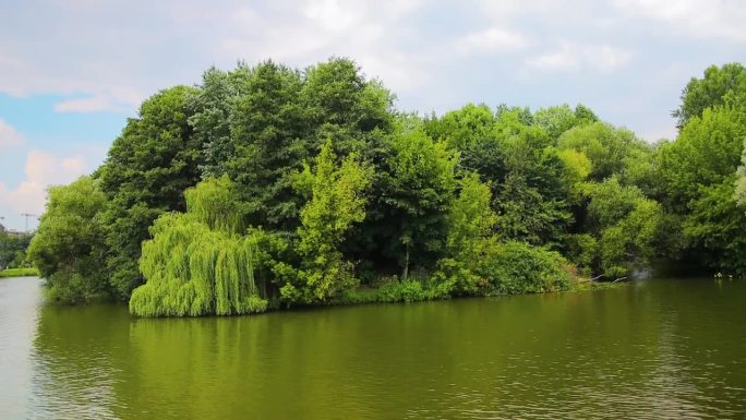 夏天河边的绿色灌木丛。在河上泛舟时美丽的风景，背景。慢动作