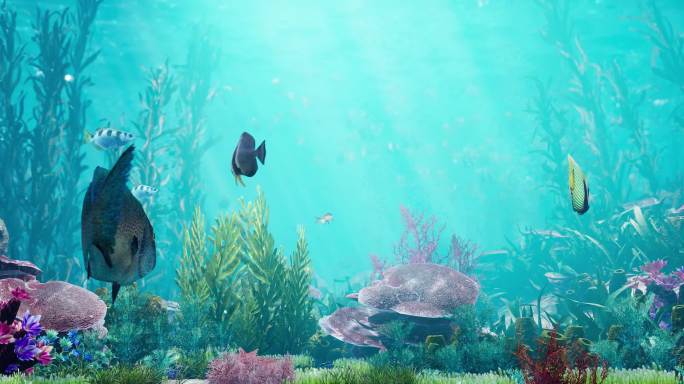 三维写实 海底世界  宽屏投屏  水族馆