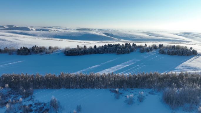 大兴安岭丘陵山地稀疏林地寒冬雪景 (3)