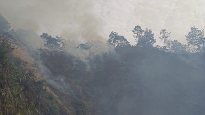 山火炼山森林火灾森林防火防火带森林火警