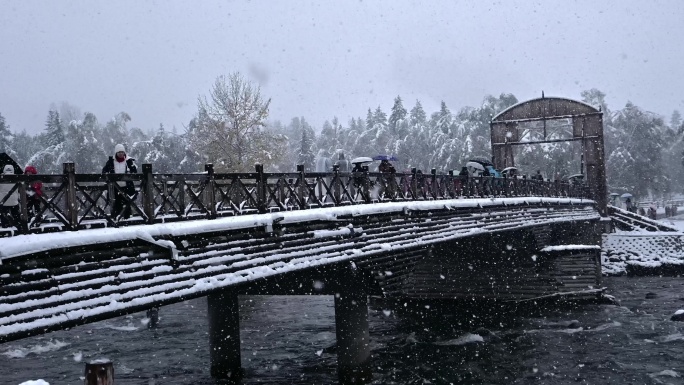 禾木河 下雪 雪天 新疆 冬天 雪景 桥