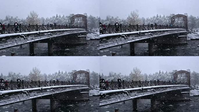 禾木河 下雪 雪天 新疆 冬天 雪景 桥