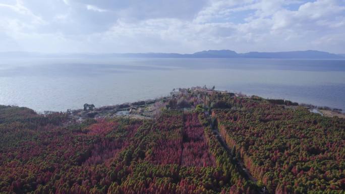 滇池捞鱼河湿地美景