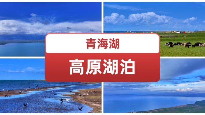 航拍青海湖蓝天白云唯美风景