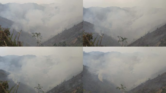 山火炼山森林火灾森林防火防火带森林火警
