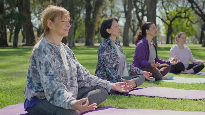 一群高级妇女在公园里与瑜伽教练一起冥想