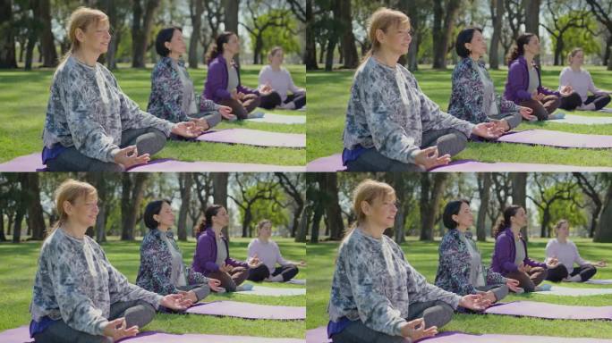 一群高级妇女在公园里与瑜伽教练一起冥想