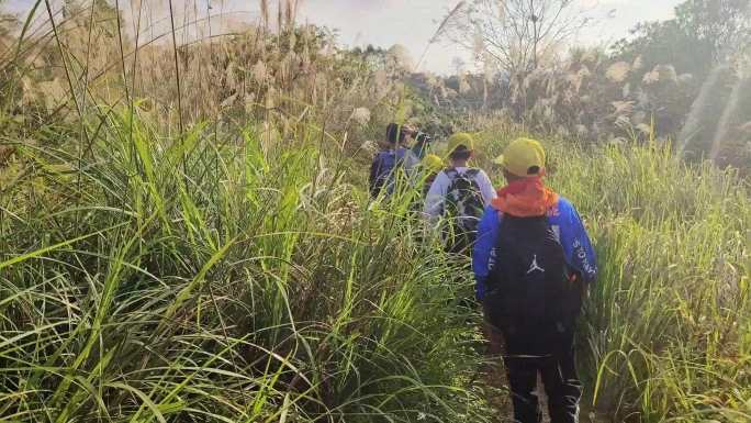 暑假旅行上学放学走路山区军训丛林脚步郊游