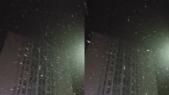 下雪天 飘雪 夜晚雪落