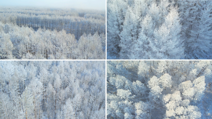 唯美冬日雾凇雪景