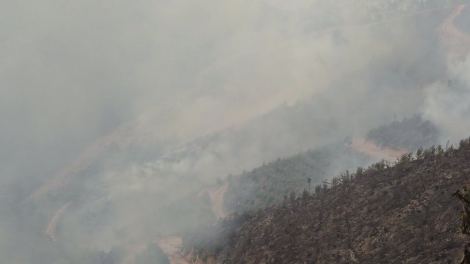 山火炼山森林火灾森林防火防火带森林火警