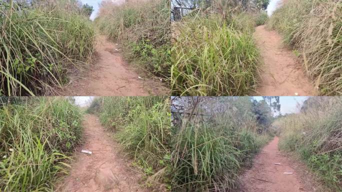 逃跑山林荒野小路小路行走山路山林树木天空