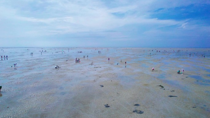 北海 4K 红树林 赶海 航拍 大海海滩