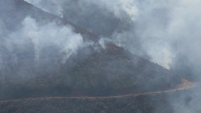 炼山山火森林火灾森林烟火森林防火防火带