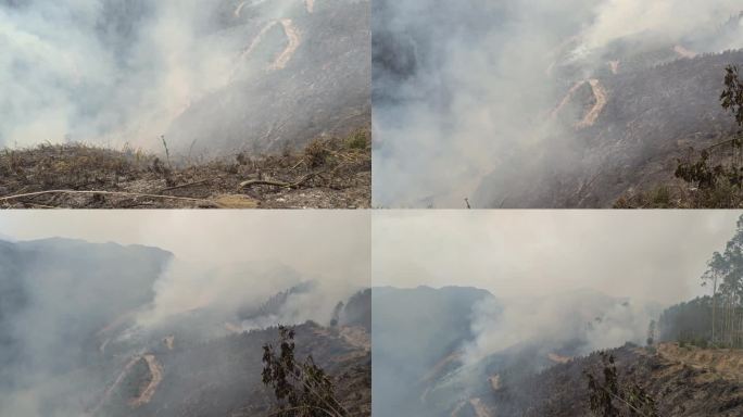 山火炼山森林火灾森林防火防火带森林火警