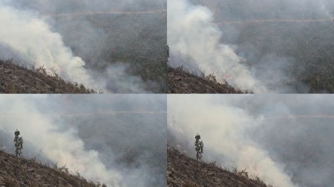 山火炼山森林火灾森林防火防火带森林火警