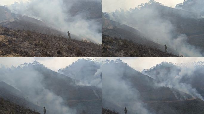 山火炼山森林火灾森林防火防火带森林火警