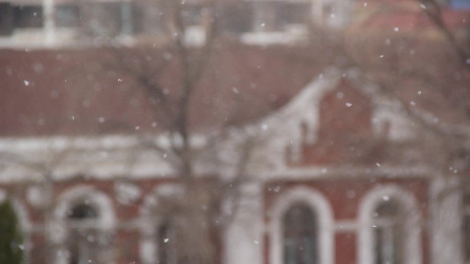 雪花飘雪下雪瑞雪兆丰年飞雪迎春到